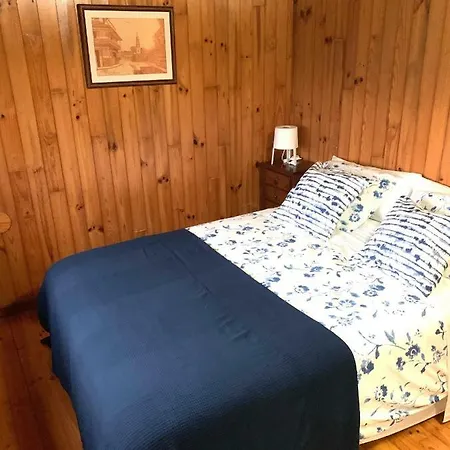 Salvador Villa *